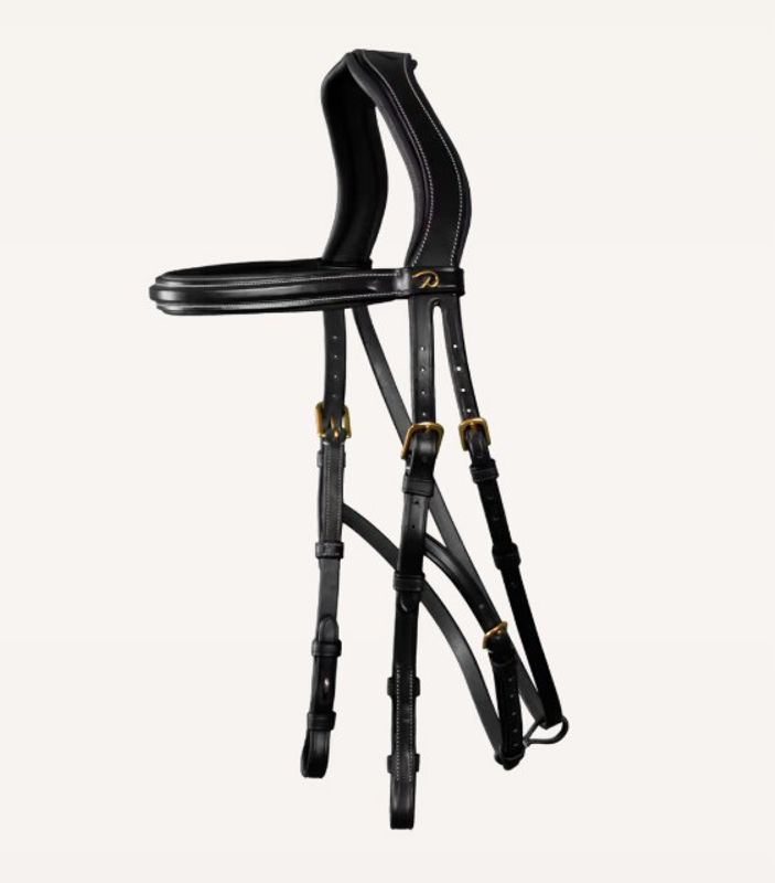 Hackamore Bridle DY