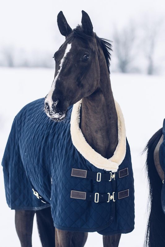 Kentucky show rug - Tiny, 160g