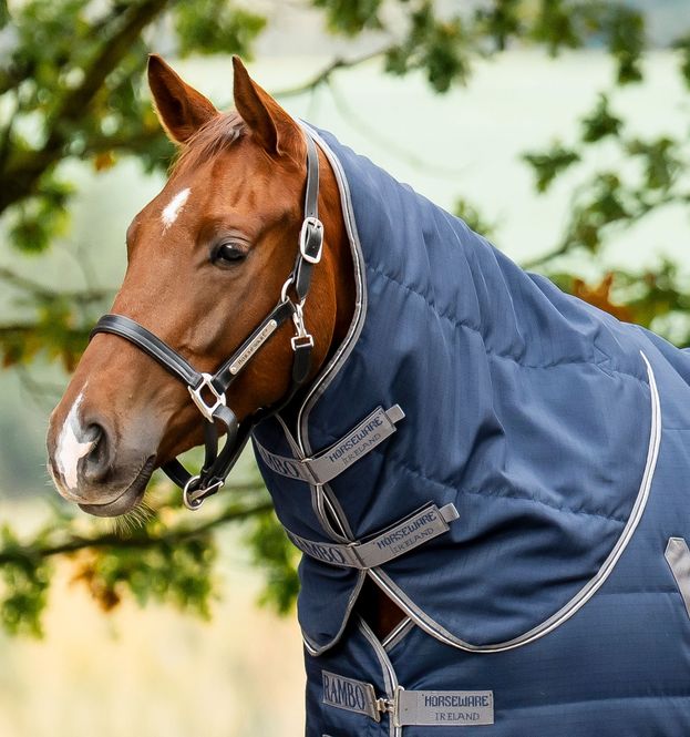 Hovedbilde Rambo® Stable Hood 100g