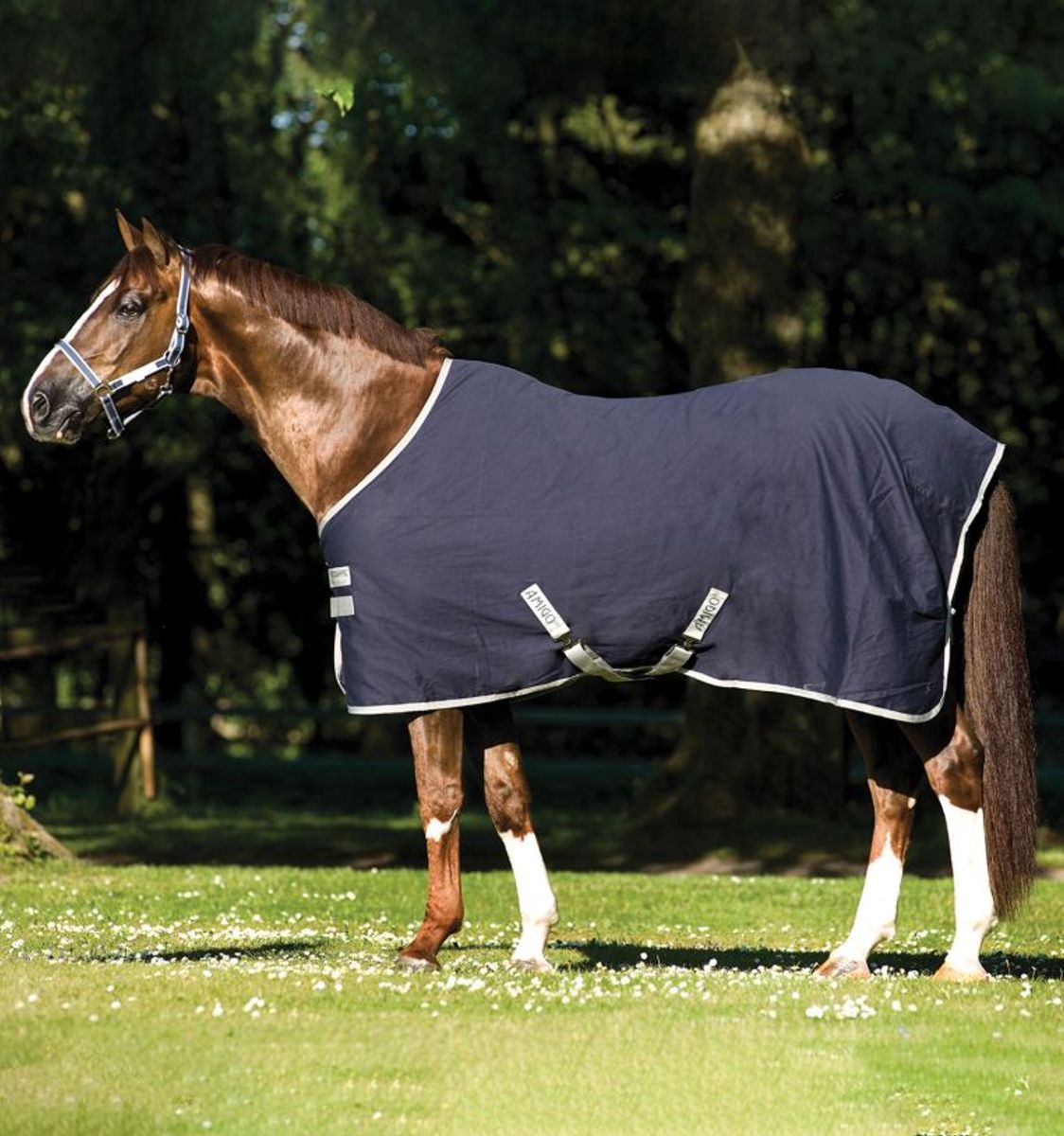 Horseware Amigo stalldekken, 0 gram