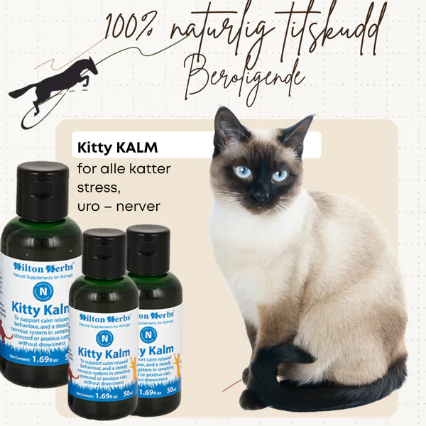 Hovedbilde Kitty Kalm Hilton Herbs