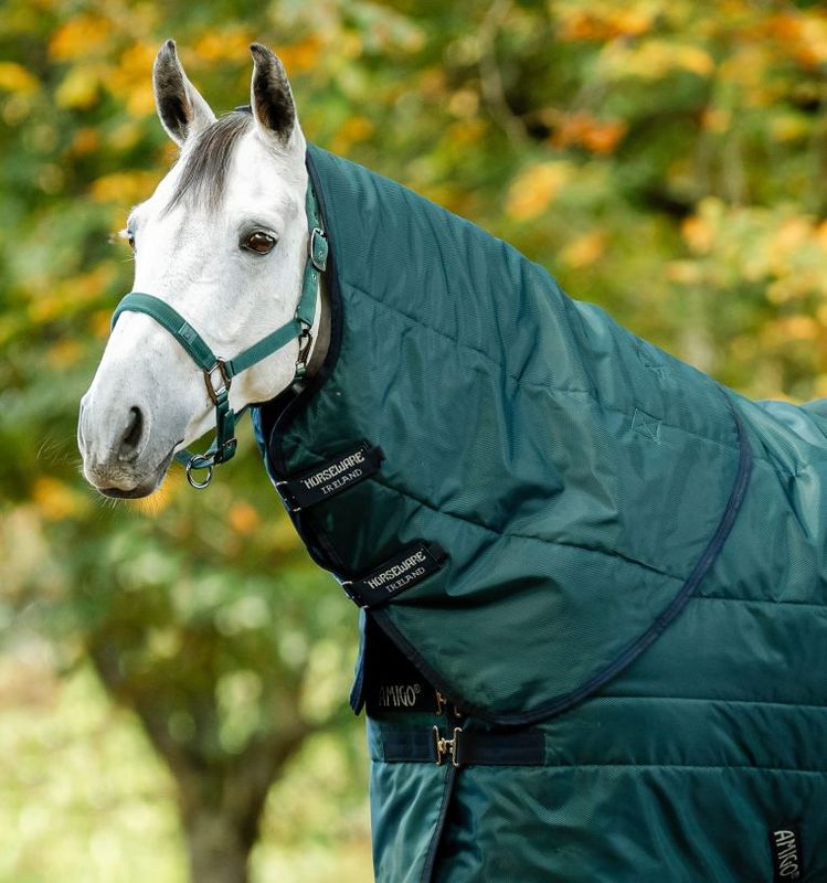 Amigo® Ripstop Insulator Stable Hood 100g, Dynasty Green/Navy & Silver