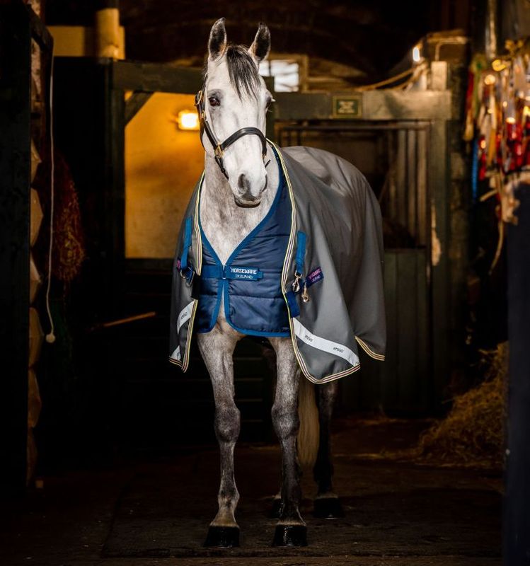 Amigo® Bravo 12 Plus Bundle Turnout 
